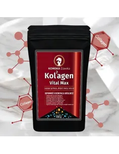 Kolagen 2