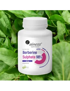 Berberyna 98% 400 mg Aliness - 60 kaps. vege 2