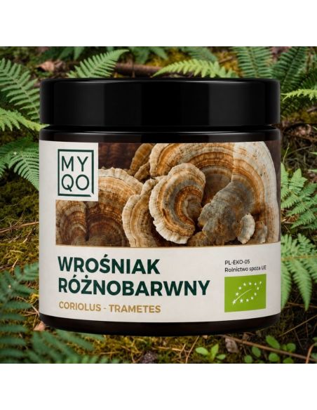 MYQO Wrośniak Różnobarwny BIO Nowa Formuła 90 kaps.