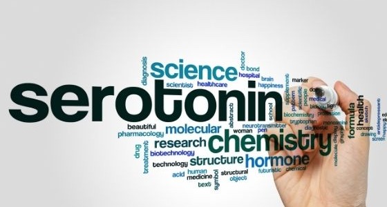 Serotonina co to takiego i czy to nie gryzie? 