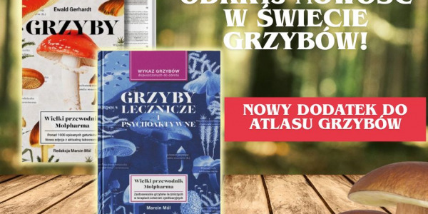 „Grzyby od kuchni po medycynę – zobacz nową publikację Molpharmy”