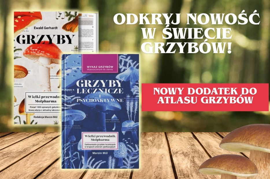 „Grzyby od kuchni po medycynę – zobacz nową publikację Molpharmy”