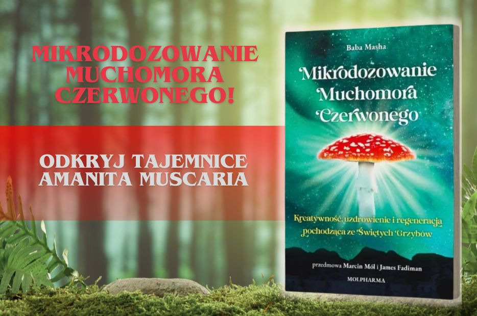 Mikrodozowanie Muchomora Czerwonego - Odkryj sekrety Amanity Muscaria