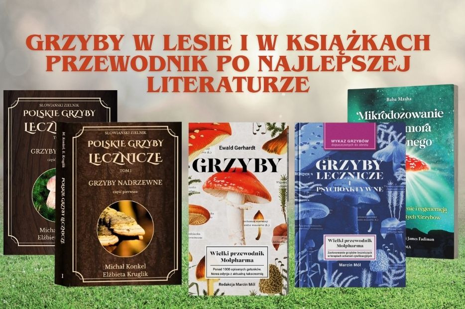 Grzyby w lesie i w książkach – przewodnik po najlepszej literaturze